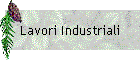 Lavori Industriali