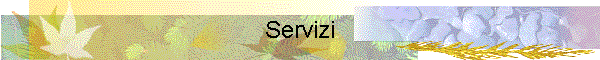 Servizi